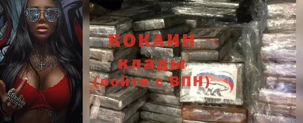 соль ск Абаза