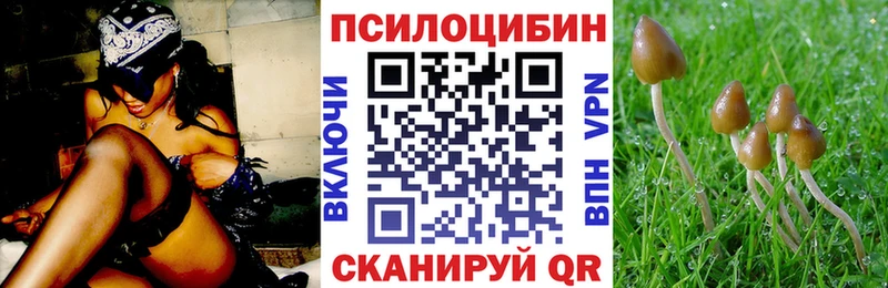 KRAKEN как зайти  купить наркоту  Камень-на-Оби  Галлюциногенные грибы прущие грибы 