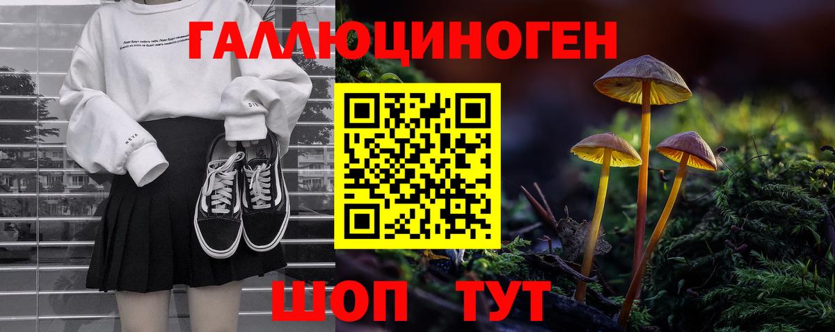 Галлюциногенные грибы MAGIC MUSHROOMS  Вход с VPN  Камень-на-Оби 